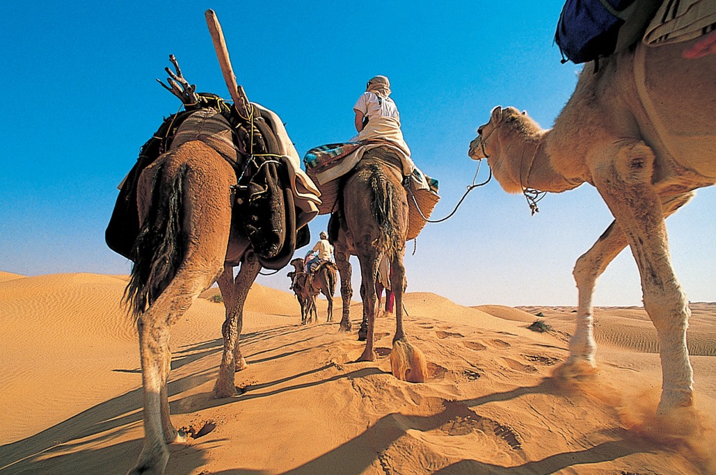 Djerba - Tunisia