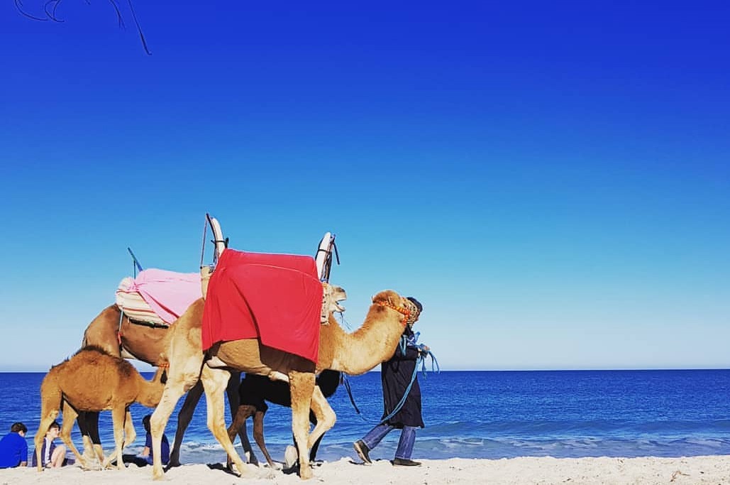 Djerba - Tunisia